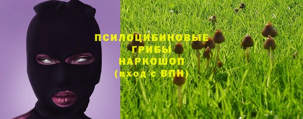 первитин Михайловск