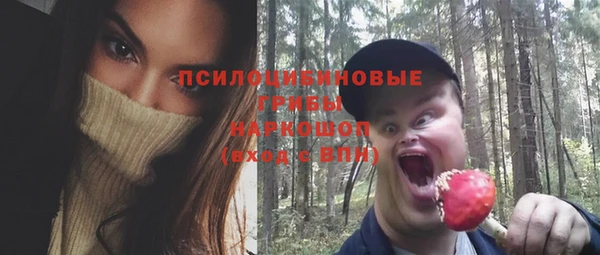 мескалин Арсеньев
