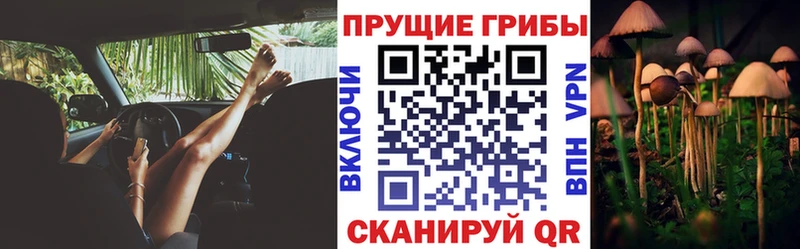 Псилоцибиновые грибы GOLDEN TEACHER  Сим 